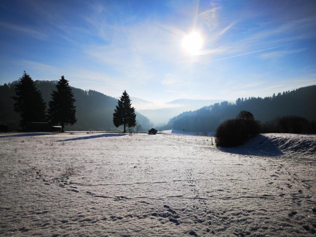 St. Bonifatius Hotel Winterberg Kültér fotó